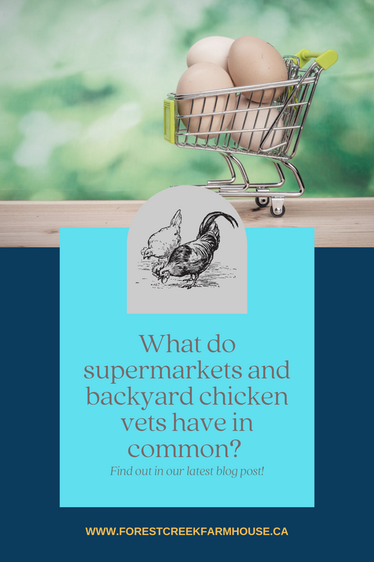 Blog #2 -Part 2/5:  What do supermarkets and backyard chicken vets have in common?