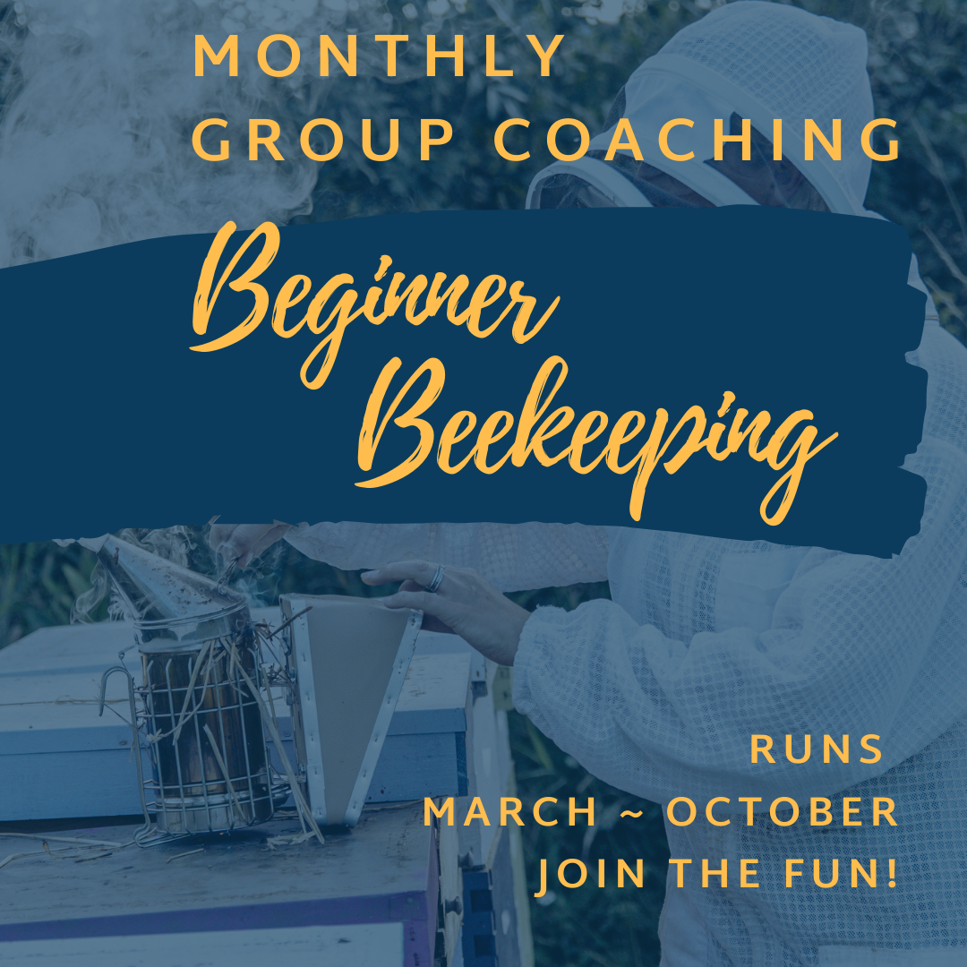 Group Coaching for Beekeepers | Month to Month Support