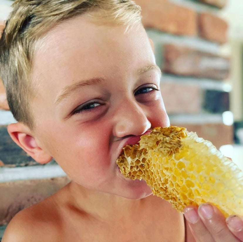 Mason taste testing Forest Creek comb honey.