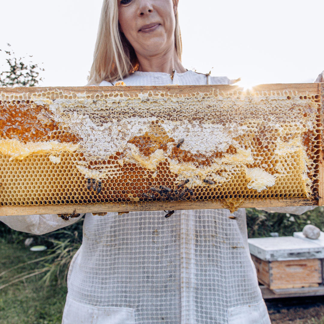 Miel de fleurs sauvages dorées 100 % cru